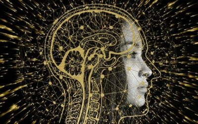 What is AI-as-a-service?
